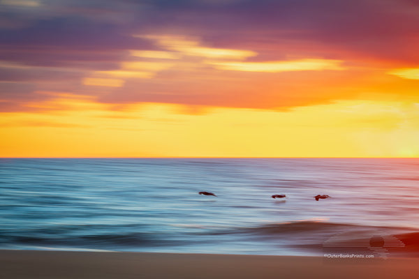 Gliding Along Outer Banks Birds