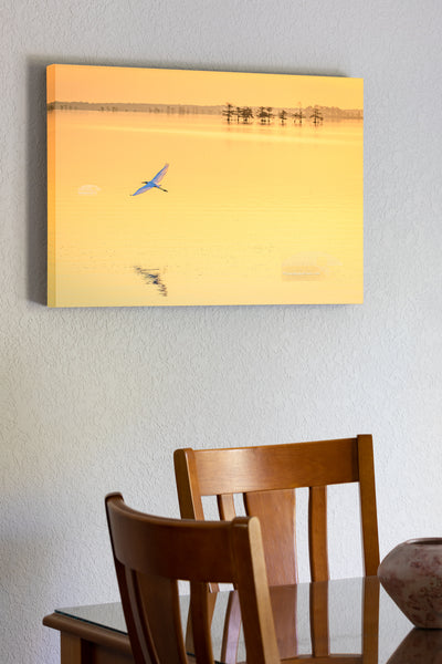 20"x30" x1.5" stretched canvas print hanging in the dining room of Golden sunrise and a Great Egret in flight at Lake Mattamuskeet, eastern North Carolina.