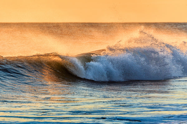 Golden wave at Kitty Hawk Beach Outer Banks North Carolina.