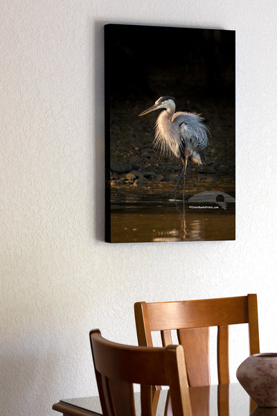 20"x30" x1.5" stretched canvas print hanging in the dining room of Great Blue Heron in morning light against a shadowed backdrop.