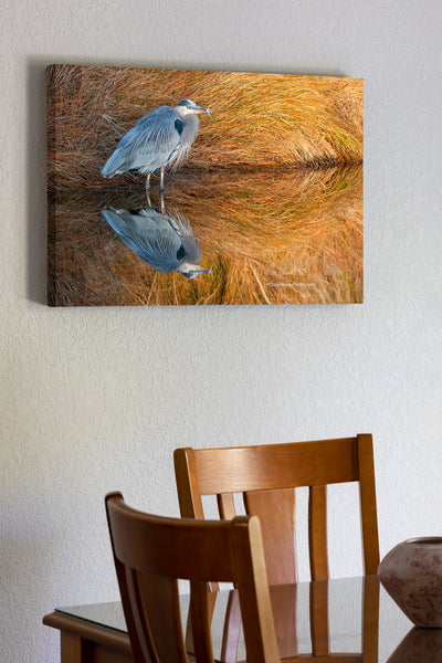 20"x30" x1.5" stretched canvas print hanging in the dining room of Great Blue Heron reflection in beautiful light on a canal.