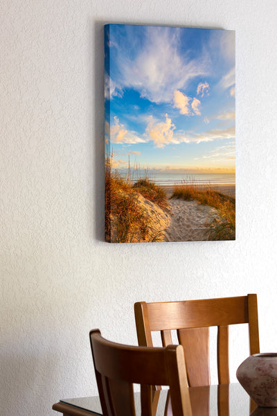 Afternoon light shining on a path over the dunes at Frisco beach at Cape Hatteras National Seashore.