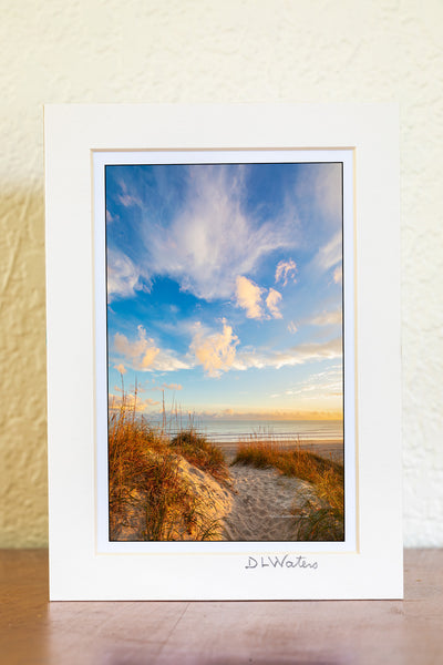 Afternoon light shining on a path over the dunes at Frisco beach at Cape Hatteras National Seashore.