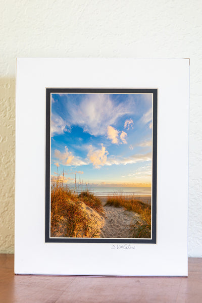 Afternoon light shining on a path over the dunes at Frisco beach at Cape Hatteras National Seashore.