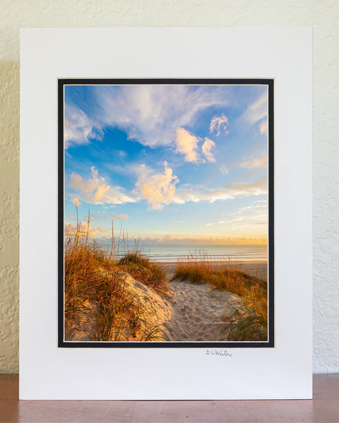 Afternoon light shining on a path over the dunes at Frisco beach at Cape Hatteras National Seashore.