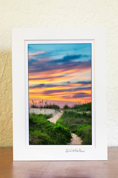 S-curved path at sunrise leeding up the dune to the beach in Kitty Hawk, NC on the Outer Banks.