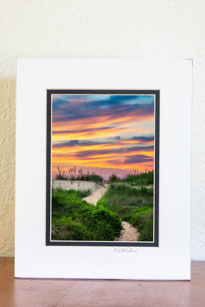 S-curved path at sunrise leeding up the dune to the beach in Kitty Hawk, NC on the Outer Banks.