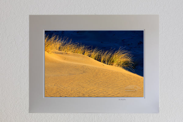 Sand dunes and dramatic clouds at Jockey's Ridge State Park  Nags Head NC. I Jockys Ridge is the largest sandune on the east coast.