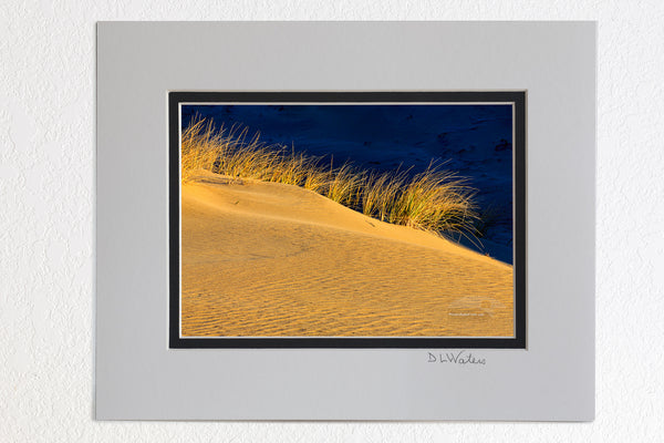 Sand dunes and dramatic clouds at Jockey's Ridge State Park  Nags Head NC. I Jockys Ridge is the largest sandune on the east coast.