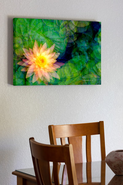 Lily Impression Multiple exposures of a water lily in my backyard pond taken on the same frame, while twisting the camera between shots.