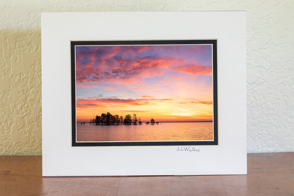 5x7 luster print in a 8x10 ivory and black double mat of A line of Cypress trees at sunrise in Lake Mattamuskeet, North Carolina.