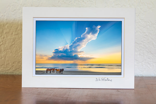 4x6 in a 5x7 mat of Herd of wild horses on a Outter Banks beach in Carova, NC under a magnificent morning rain cloud.