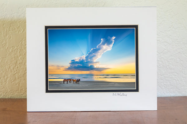 5x7 in  8x10 Ivory and black double mat of Herd of wild horses on a Outter Banks beach in Carova, NC under a magnificent morning rain cloud.
