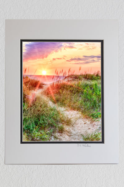 8 x 10 luster print in a 11 x 14 ivory and black double mat of A path through the dunes to a Outer Banks beach in Kitty Hawk , NC at sunrise.