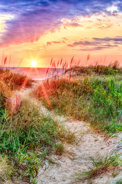 A path through the dunes to a Outer Banks beach in Kitty Hawk , NC at sunrise.
