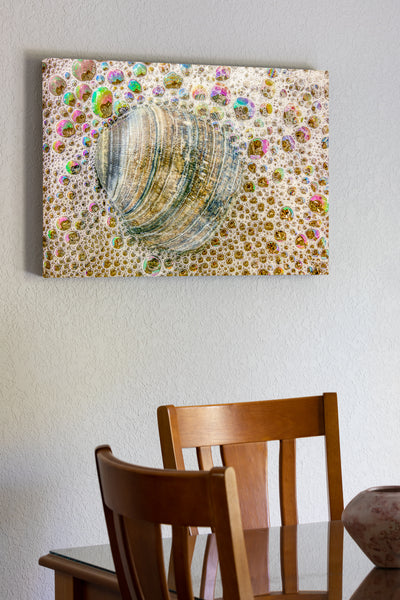 20x30 Canvas of Clam shell surounded by ocean bubbles on the beach  in Corolla, NC.