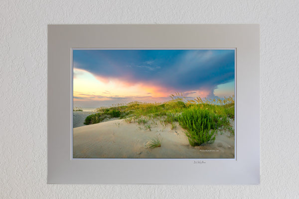 Summer Sea Oats against a pastel sky at Coquina Beach on the Outer Banks of North Carolina.