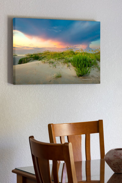 Summer Sea Oats against a pastel sky at Coquina Beach on the Outer Banks of North Carolina.