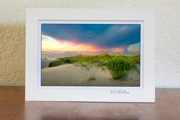 Summer Sea Oats against a pastel sky at Coquina Beach on the Outer Banks of North Carolina.