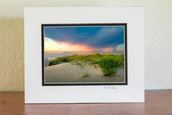 Summer Sea Oats against a pastel sky at Coquina Beach on the Outer Banks of North Carolina.