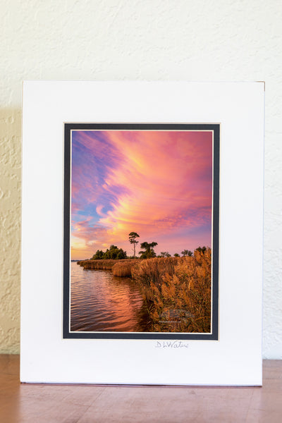 Pink Shoreline Outer Banks