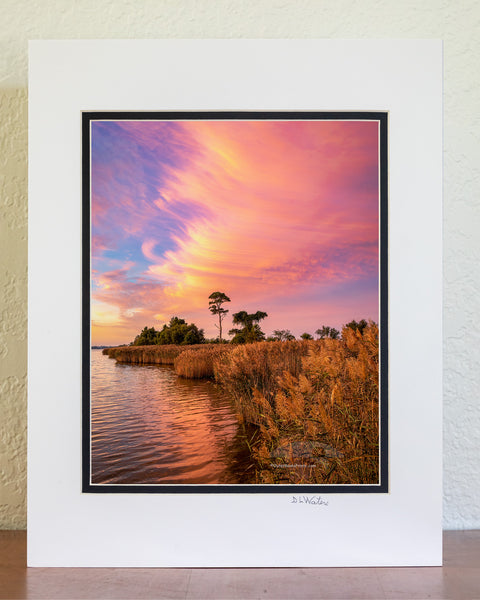 Pink Shoreline Outer Banks