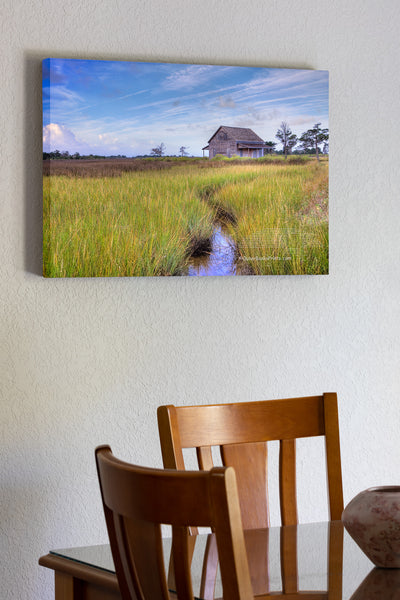 Portsmouth Island creek leading to a   cabin.  Portsmouth used to be the largest port in North Carolina until   the shoaling inlet halted commerce and  the towns people moved away. It has been restored by the National Park Service. Portsmouth was established in 1753 and the last resident left in 1971.