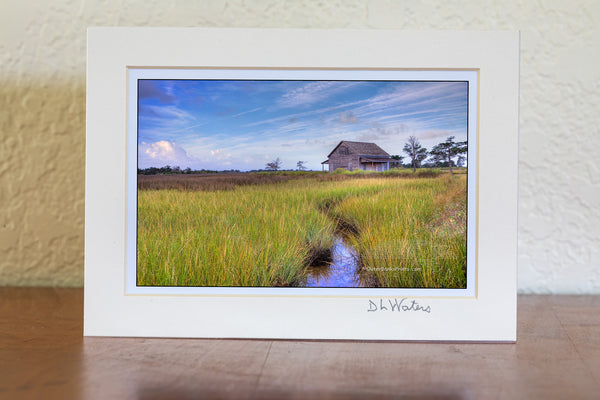 Portsmouth Island creek leading to a   cabin.  Portsmouth used to be the largest port in North Carolina until   the shoaling inlet halted commerce and  the towns people moved away. It has been restored by the National Park Service. Portsmouth was established in 1753 and the last resident left in 1971.