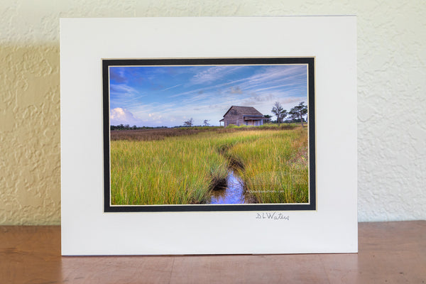 Portsmouth Island creek leading to a   cabin.  Portsmouth used to be the largest port in North Carolina until   the shoaling inlet halted commerce and  the towns people moved away. It has been restored by the National Park Service. Portsmouth was established in 1753 and the last resident left in 1971.