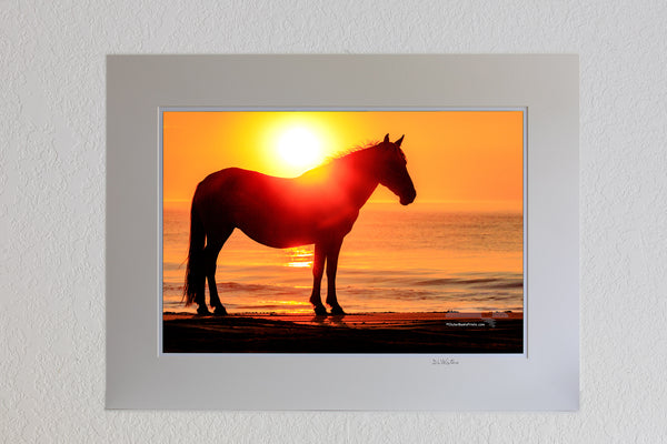 13 x 19 luster print in 18 x 24 ivory mat of Wild horse silhouette on the beach in front of surf at sunrise in Corolla, NC on the Outer Banks.