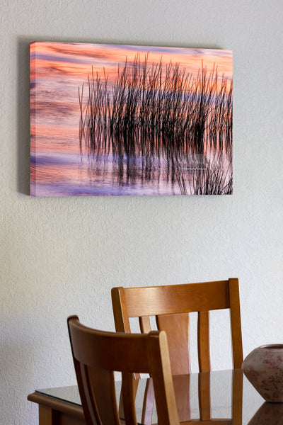 Reeds and sunset reflection at Duck on the Outer Banks of NC.