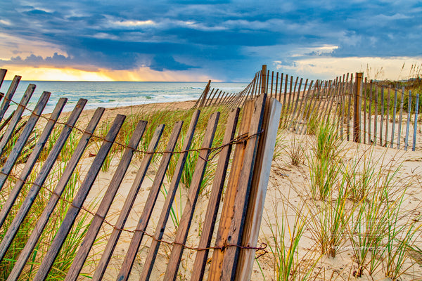 Summer storm on the coast of NC at Kitty Hawk. The sand fence and sea oats make for a dramatic foreground with the summer  beach storm in the background.