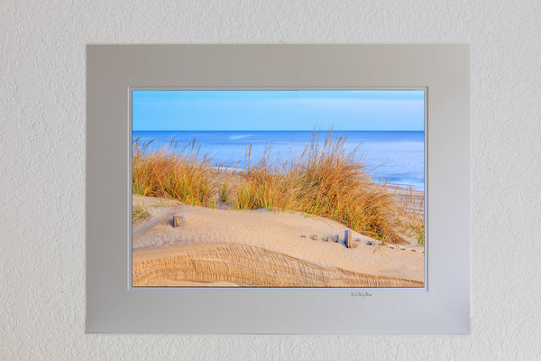 13 x 19 luster print in 18 x 24 ivory mat of Sea oats at sunrise along the Nags Head beach on the Outer Banks of NC.