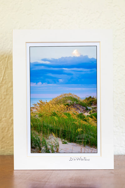 Sea oats and sand dunes at Coquina Beach in Cape Hatteras National Seashore on the Outer Banks of NC.