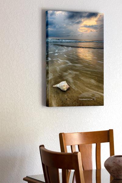 20"x30" x1.5" stretched canvas print hanging in the dining room of Dramatic photo of a Whelk shell on a Outer Banks beach.