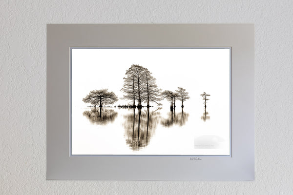 13 x 19 luster print in 18 x 24 ivory mat of Cypress tree and reflection in black-and-white captured at Lake Mattamuskeet North Carolina.