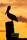 Sunset Silhouette Outer Banks Birds