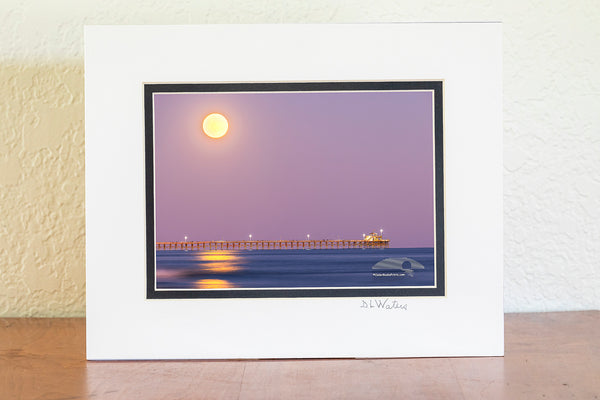 Hunters moon rising over Cherry Grove pier in North Myrtle Beach, South Carolina