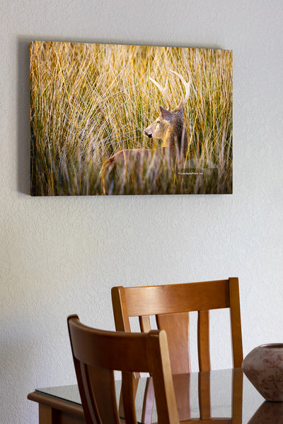 Canvas print of a deer in tall grass on a wall above a wooden table with chairs.
Canvas print of a deer in tall grass on a wall above a wooden table with chairs.