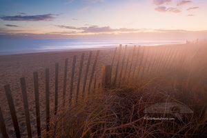Sand fence on a fogy morning at the beach on the Outer Banks of NC.