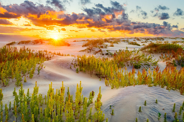 Beautiful morning dunes at Oregon Inlet on the Outer Banks of North Carolina.