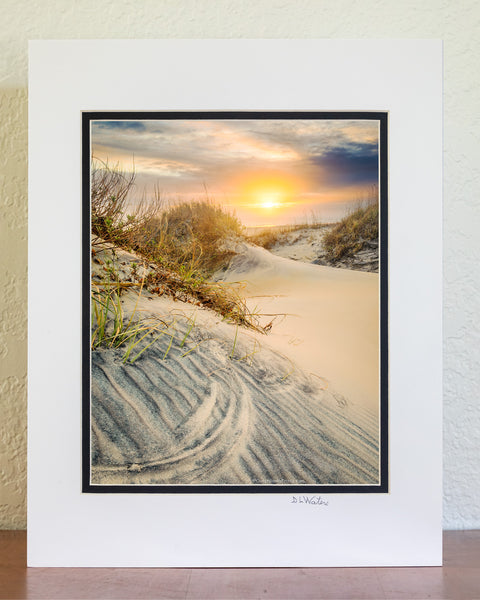 The beach at Oregon Inlet Campground on a misty winters morning in Cape Hatteras National Seashore Outer Banks of North Carolina. The pattern in the foreground sandune was made when the winds shifts directions and causes the Seaoats to etch curved shapes in the sand.