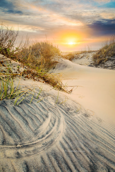 The beach at Oregon Inlet Campground on a misty winters morning in Cape Hatteras National Seashore Outer Banks of North Carolina. The pattern in the foreground sandune was made when the winds shifts directions and causes the Seaoats to etch curved shapes in the sand.