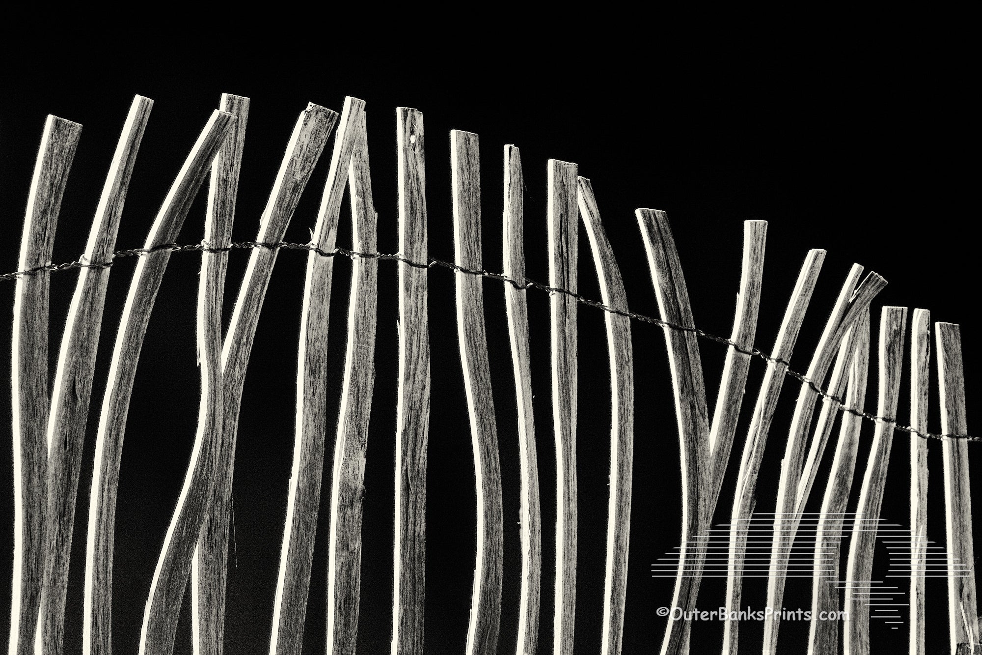 Black and white image of a weathered sand fence on the outer Banks of North Carolina.