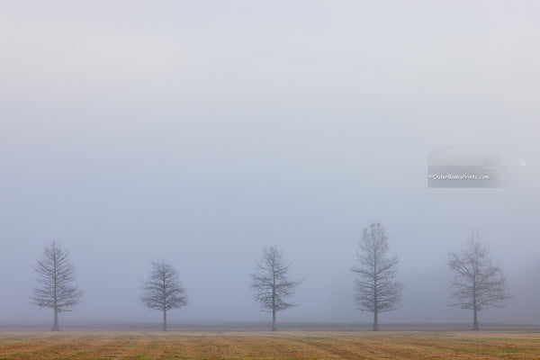 Quiet Field Outer Banks