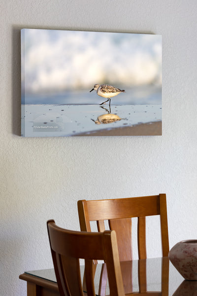 A solitary sandpiper pauses at the water’s edge, its reflection mirrored in the wet sand. Soft, out-of-focus surf rolls in behind it, capturing a quiet moment along the shoreline of Frisco on the Outer Banks.
