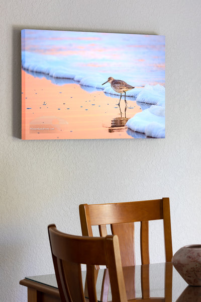 Canvas print of a  Willet wading at the surf zone in a peach reflection on the Outer Banks of NC.
