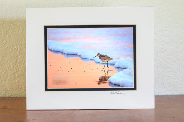 Framed artwork of a bird on a beach with a white mat and black frame.