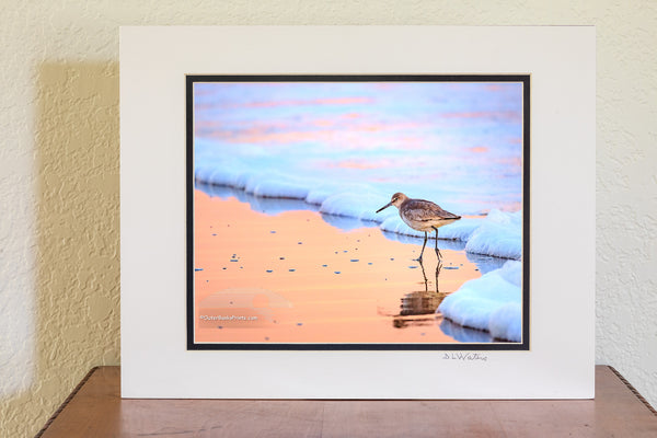 Framed artwork of a bird on a beach with a sunset sky.