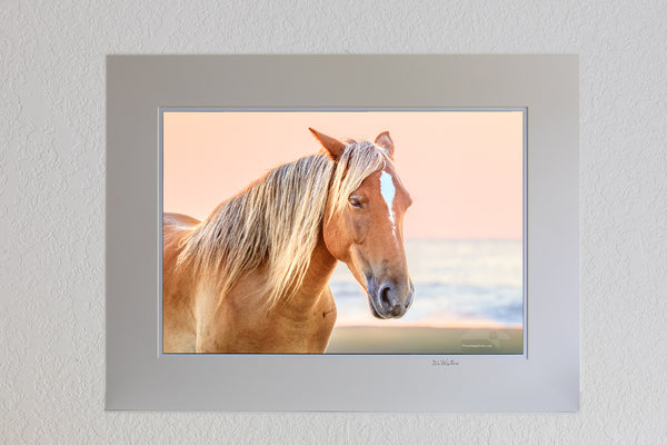 13 x 19 Lauster print in 18 x 24 mat of wild horse on NC Outer Banks beach at sunrise.